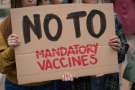Group,of,no,vax,deniers,holding,up,a,"no,to