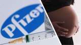 Whatever Happened To Pfizer's Covid Vaccine Trial In Pregnant Women