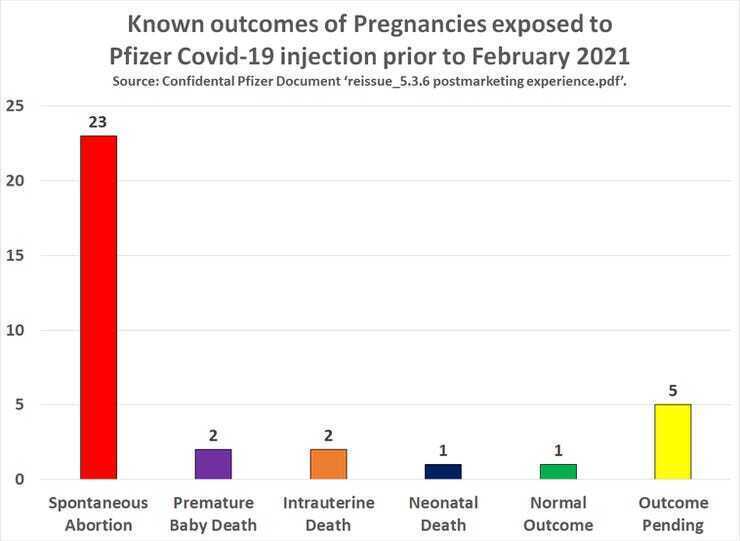 29 Pregnant Women