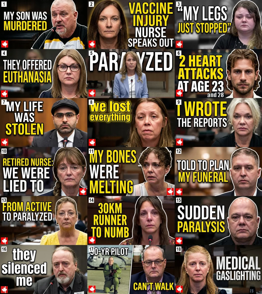 Collage of 18 Allison Inquiry witnesses with headlines describing COVID-19 vaccine injuries and losses, including paralysis, heart attacks, medical gaslighting, euthanasia being offered and the death of a son.