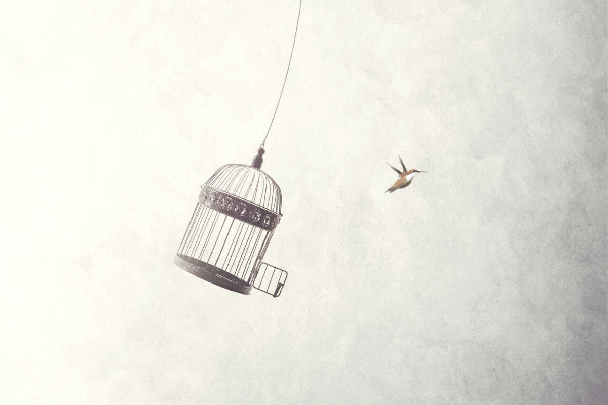 Little,birds,escape,out,of,birdcage,,freedom,concept